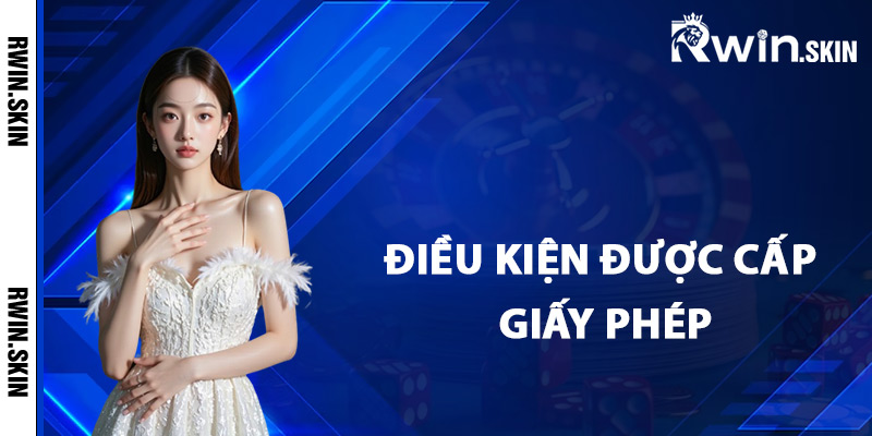 Điều kiện được cấp giấy phép kinh doanh Rwin